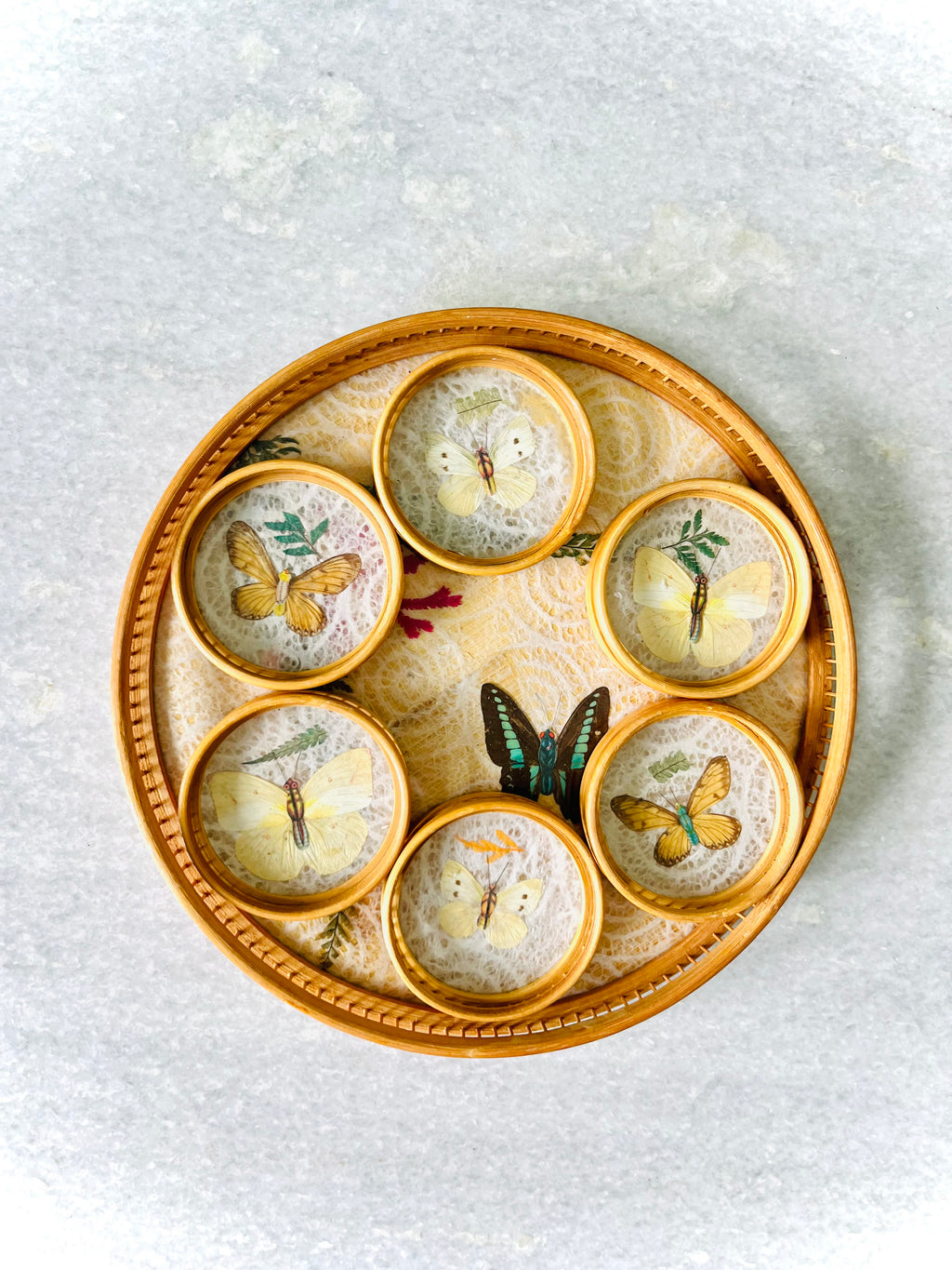 Pressed butterfly tray & coaster set