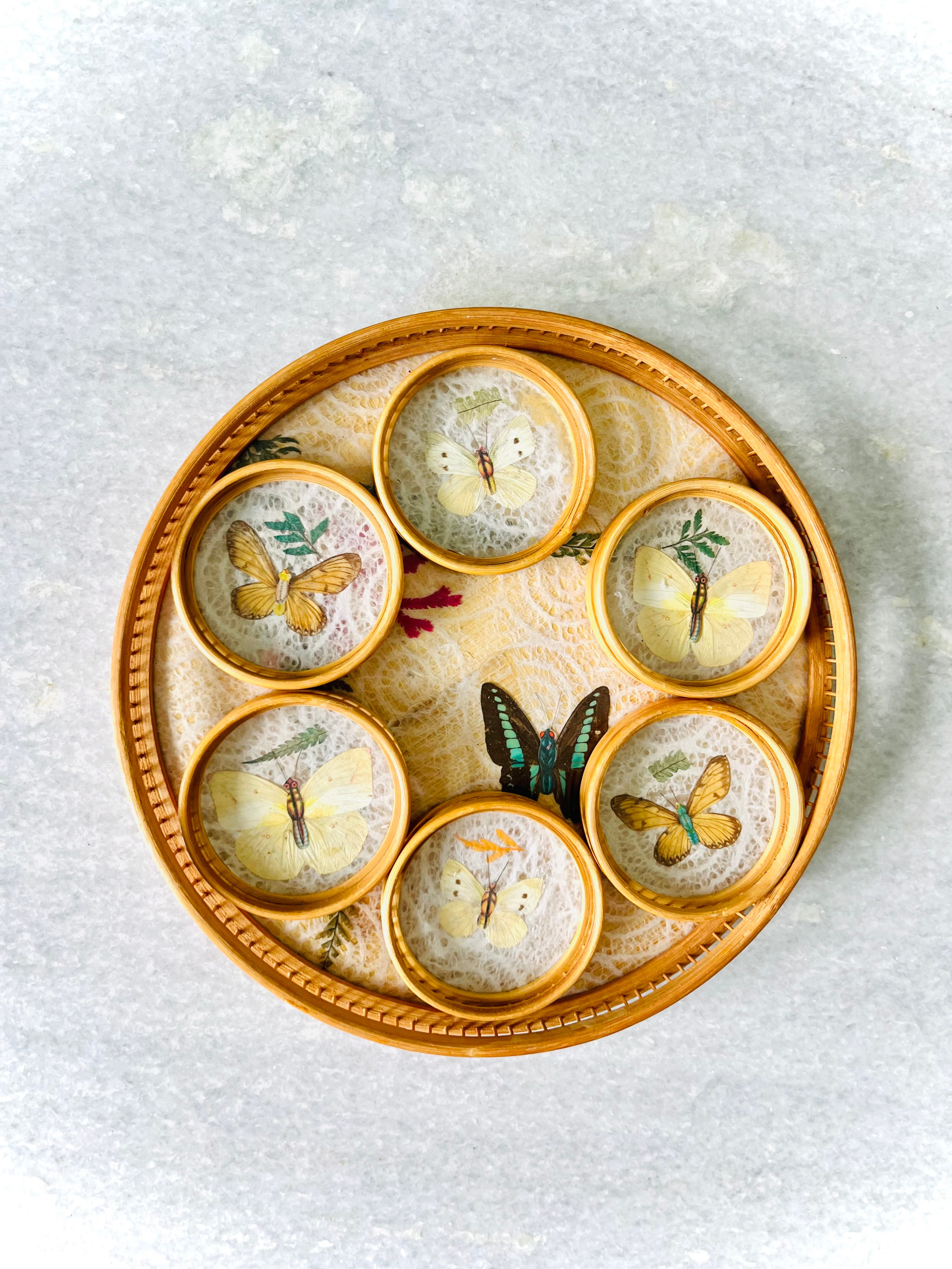 Pressed butterfly tray & coaster set