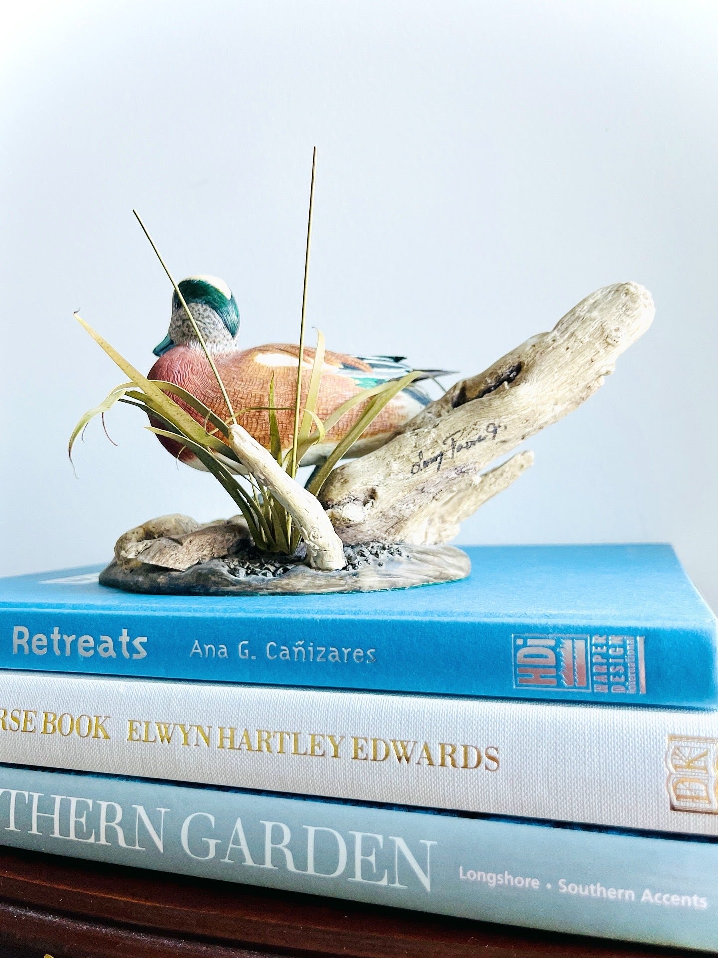 Widgeon duck by Larry Tawes Jr