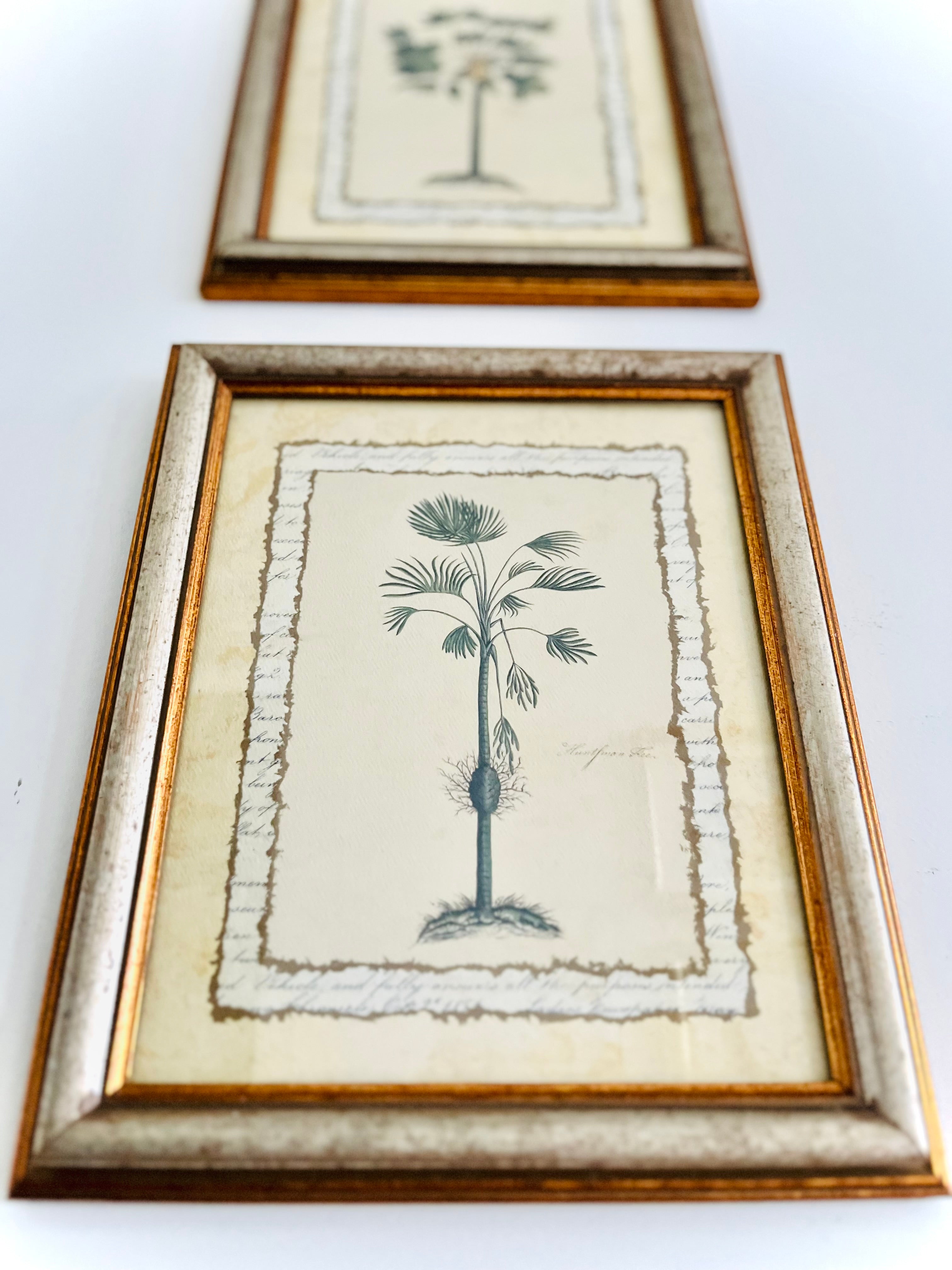 Pair of botanical palm prints