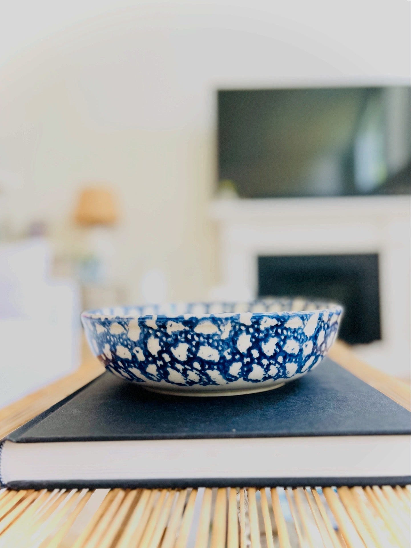 Blue & white 9” sponge bowl
