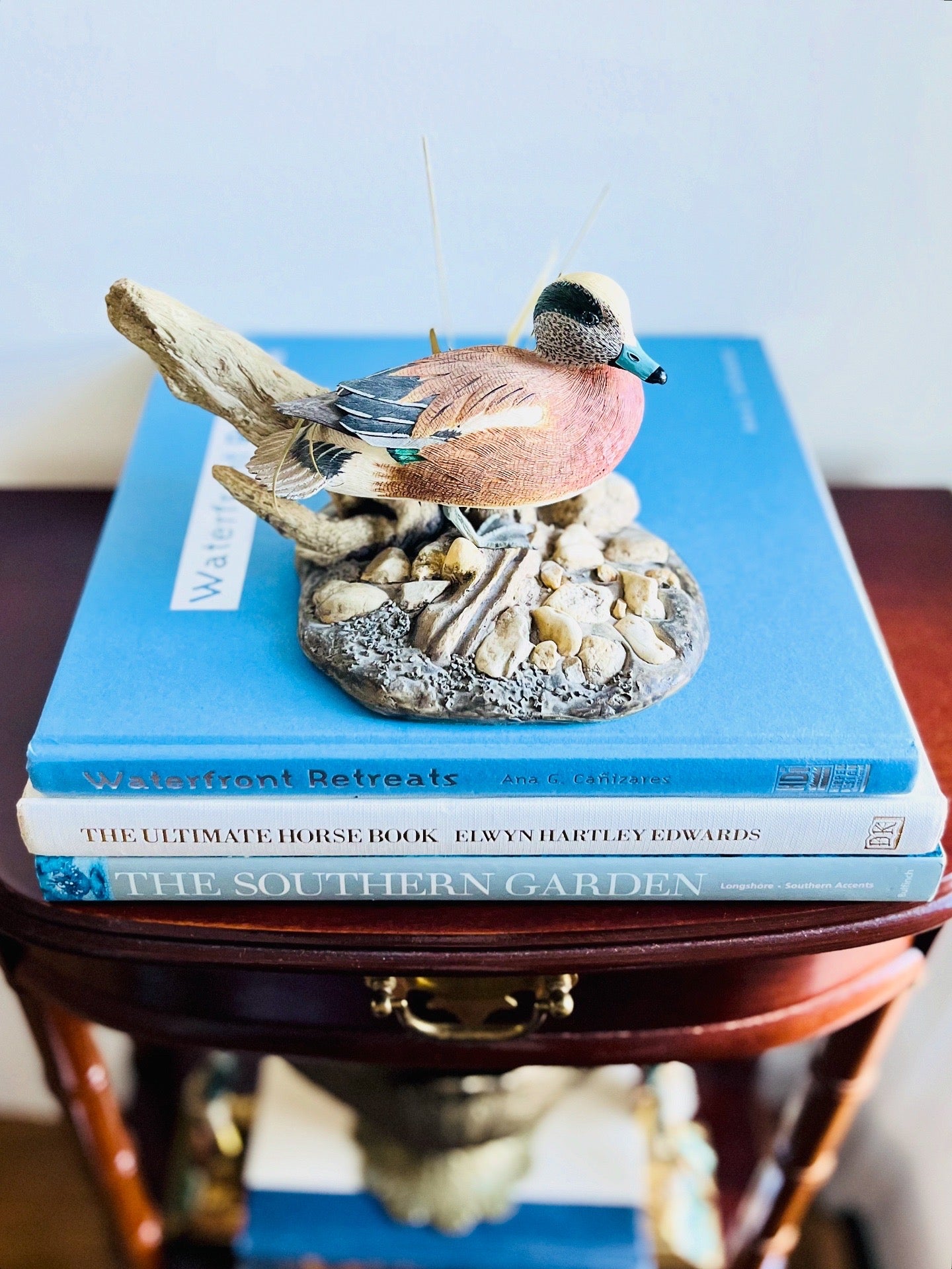 Widgeon duck by Larry Tawes Jr