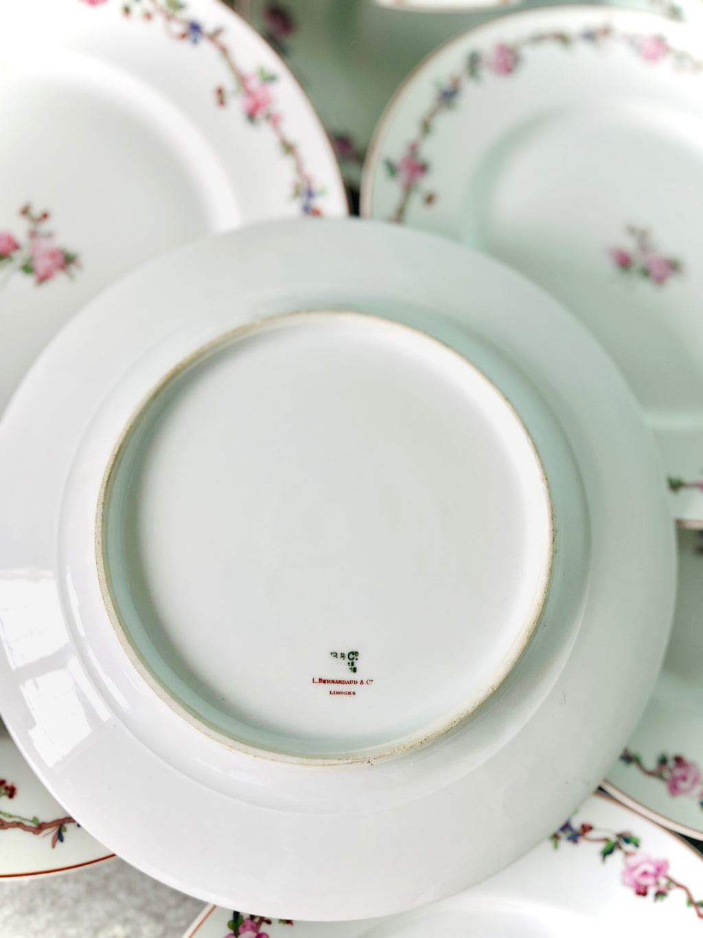 Limoges floral plates