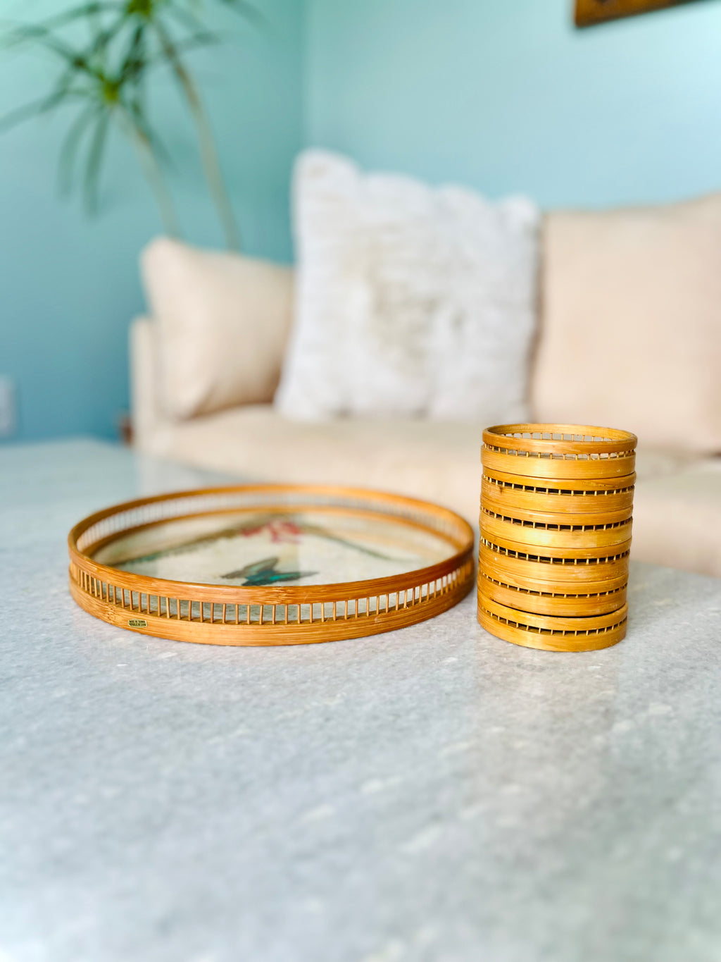 Pressed butterfly tray & coaster set