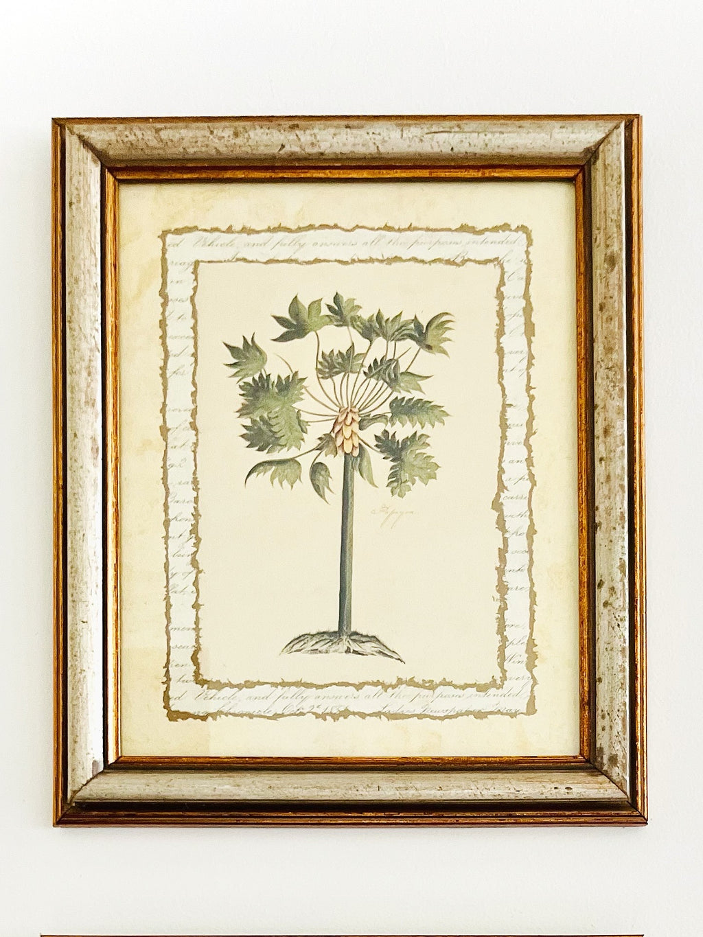 Pair of botanical palm prints