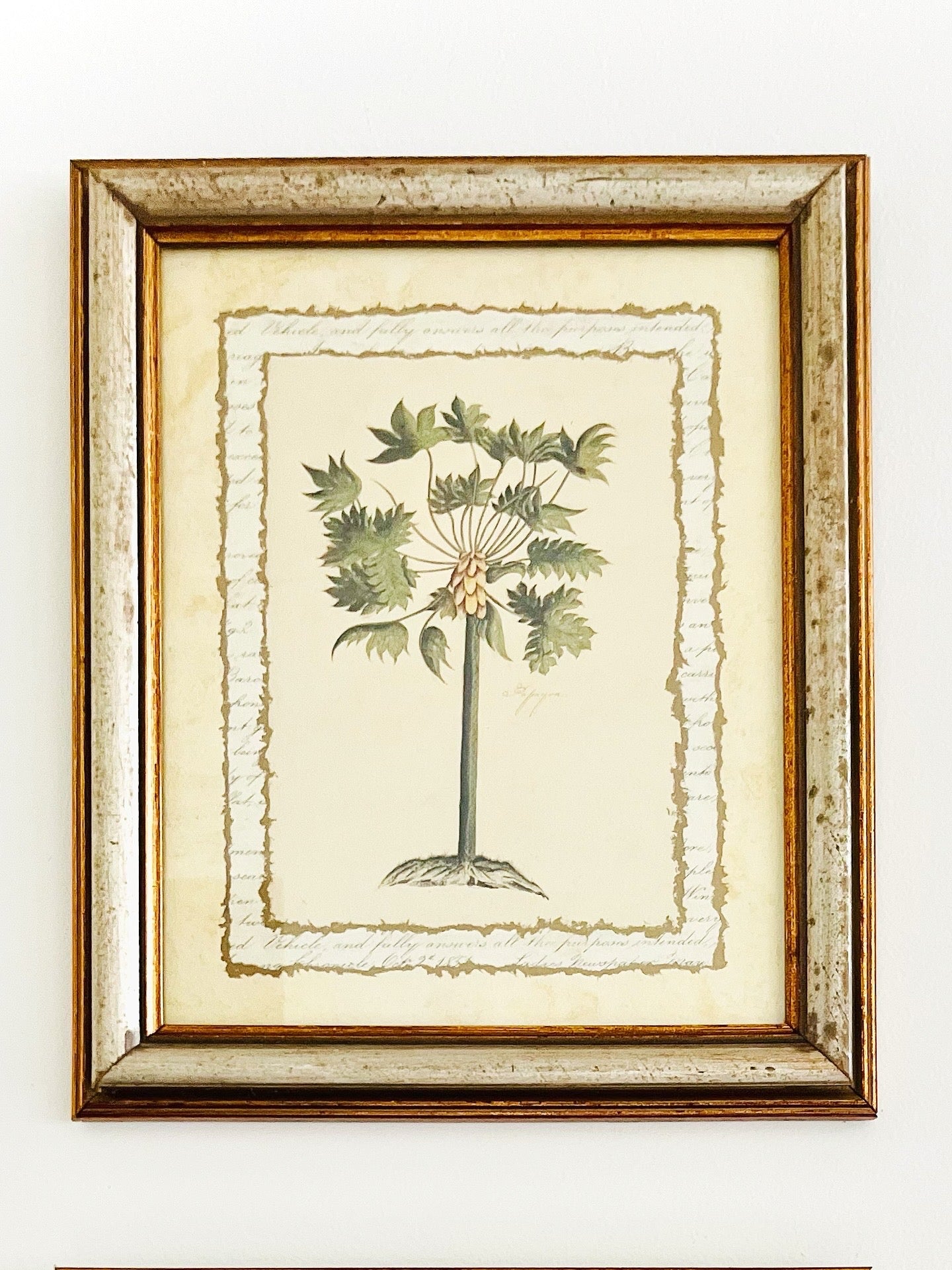 Pair of botanical palm prints