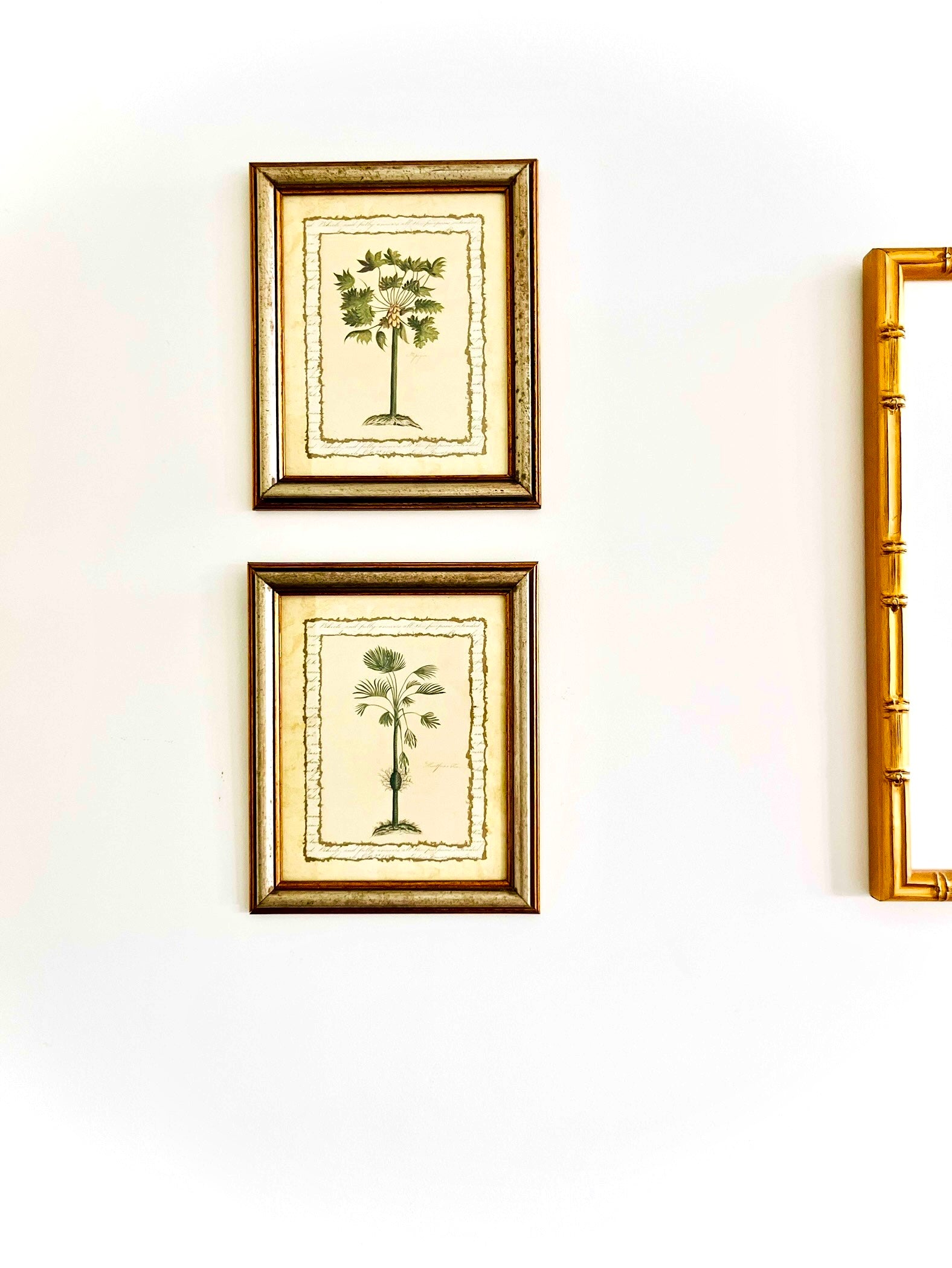 Pair of botanical palm prints