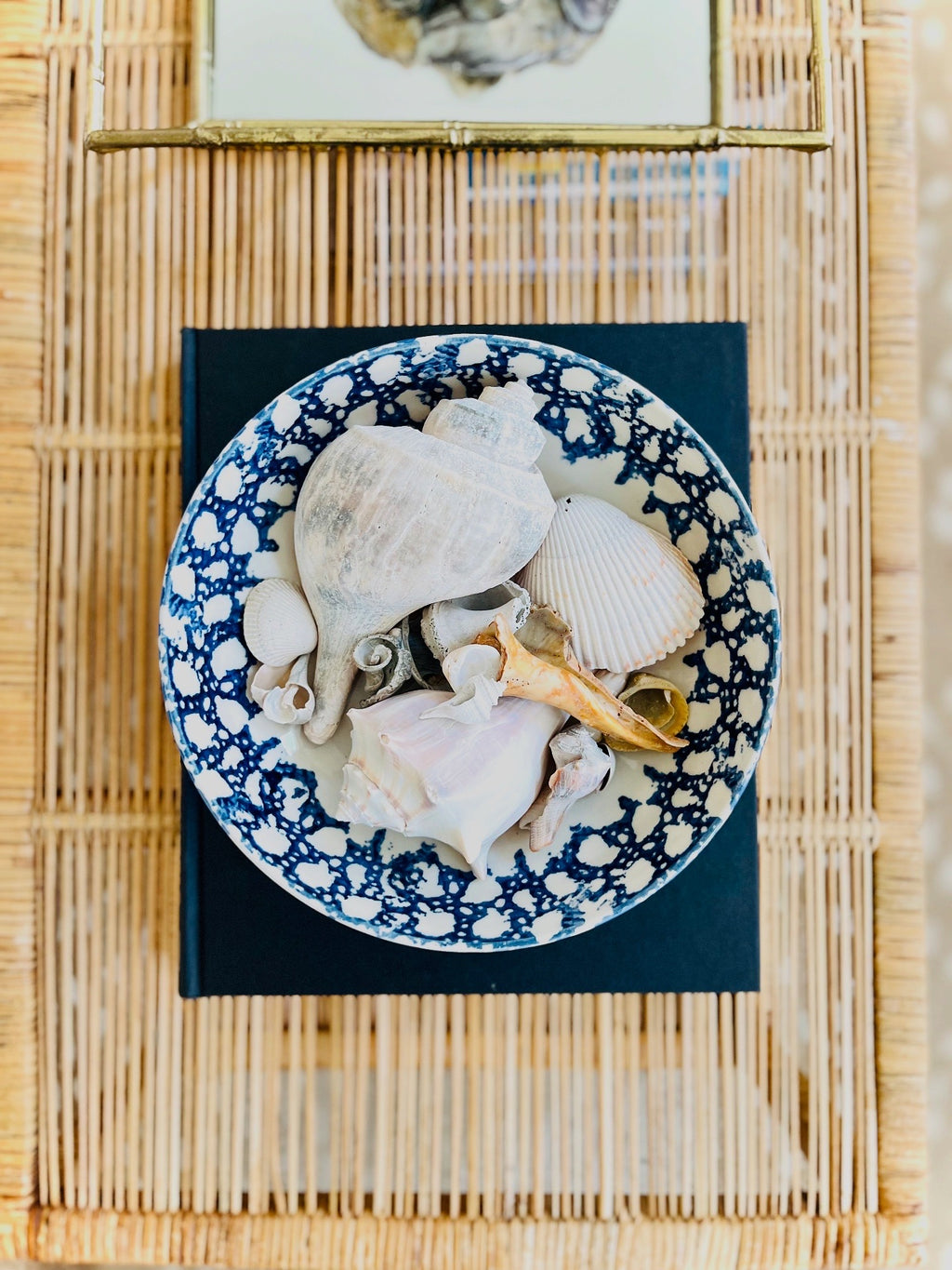 Blue & white 9” sponge bowl